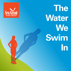 The Water We Swim In