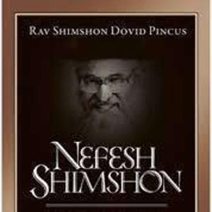 Tfillah Insights with Nefesh Shimshon