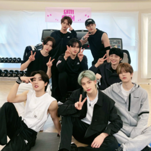 Skz ai covers