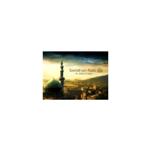 Seerat Un Nabi Urdu
