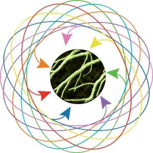 The Eunoia Health Tech Podcast