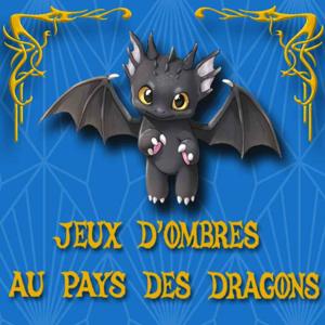 Livre jeunesse : Jeux d'Ombres au Pays des Dragons, la quête du sorcier.