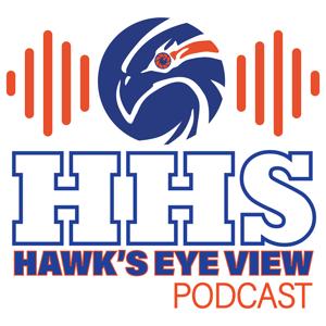 Hawk's Eye View