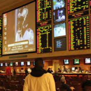 Betting Insights: Thrill of Sports Wagering