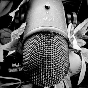 Next Steps Podcasts