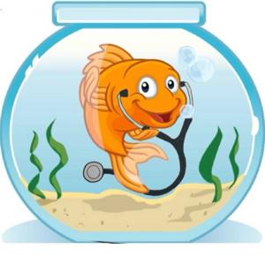 The Fishbowl: Making Residency Transparent
