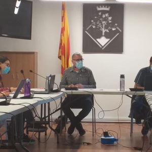 Plens Municipals