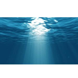 Ocean of Ontological Light