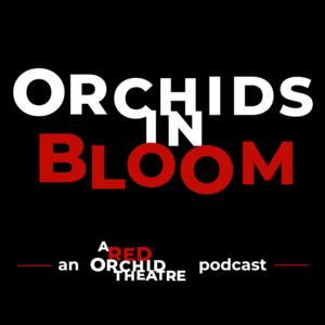 Orchids in Bloom