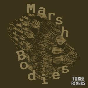 MARSH BODIES