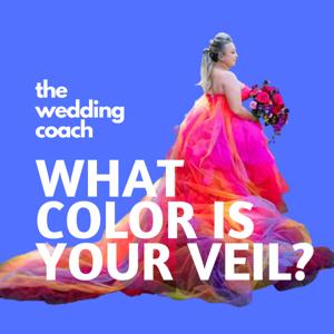 What Color is Your Veil (what they don't tell you about planning a wedding)