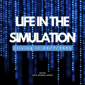 Life in the Simulation
