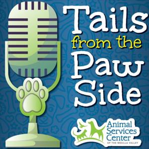 Tails from the Paw Side