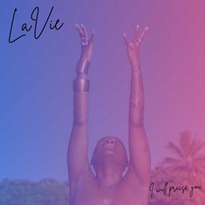 I Will Praise You (Live)