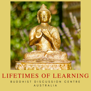 Lifetimes of Learning