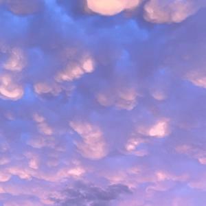 Your Everyday Random Topics