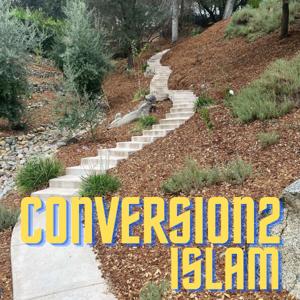 Conversion2 iSlam