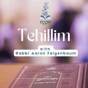 Tehillim Insights