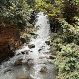 Mid-Atlantic Outdoors Podcast with Erich Bollman