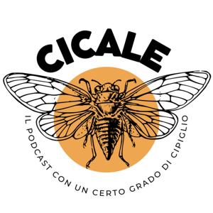 Cicale