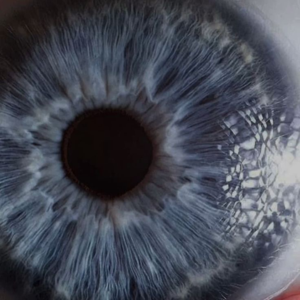 Songs not on Spotify