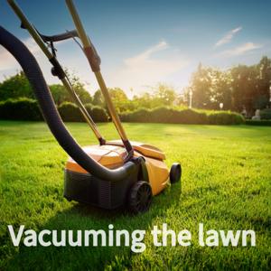 Vacuuming the Lawn
