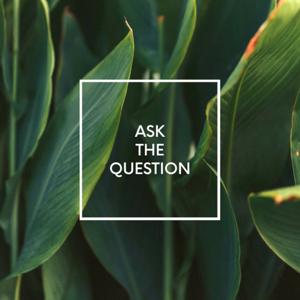 Ask the Question