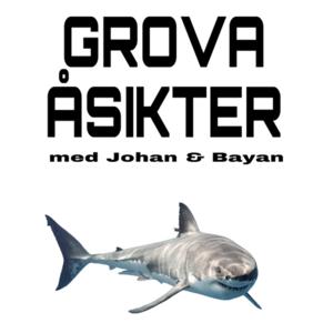 Grova Åsikter