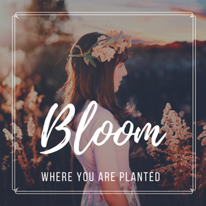 Bloom Where You Are Planted