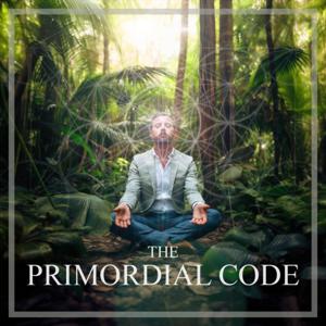 The Primordial Code