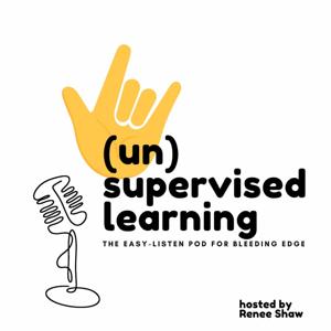 🤘(un)supervised learning pod