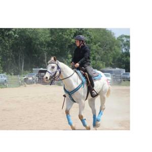 The Blind Horse Project