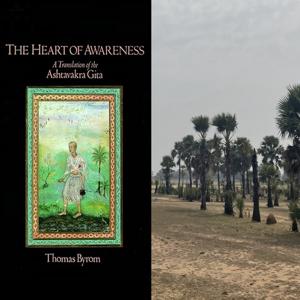 Chicken Philosophy: Ashtavakra Gita