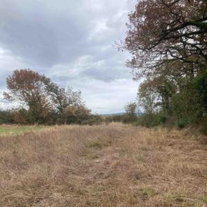 Ne faire que ce qui nous chante