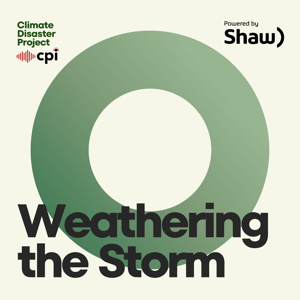 Weathering the Storm