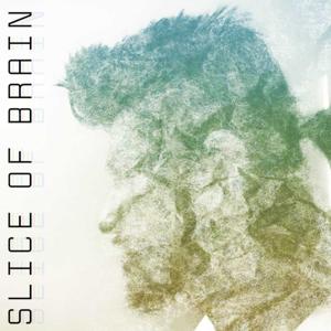 Slice of Brain