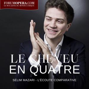 Le cheveu en quatre par Sélim Mazari