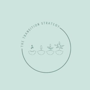 The Transition Strategy