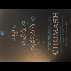 The Jewish Woman