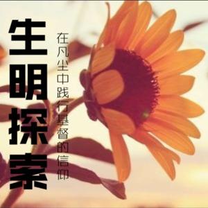 生命探索