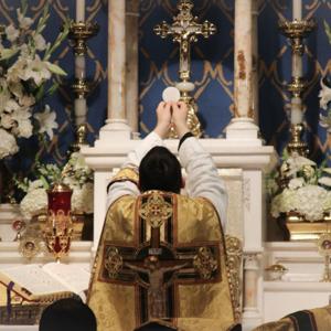 Ave Maria Purissima