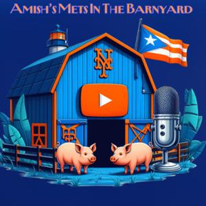 Amish’s Mets In The Barnyard