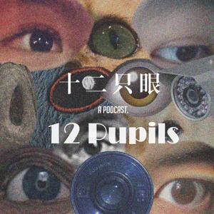 十二只眼12Pupils