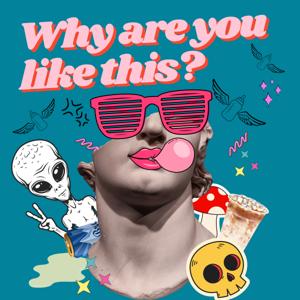 Why are you like this?