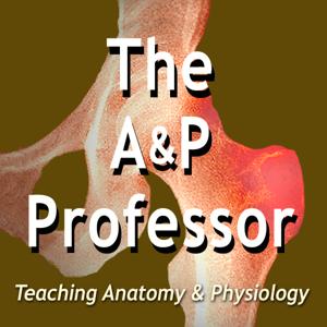 The A&P Professor