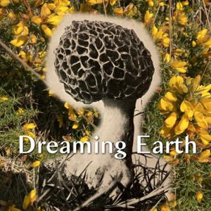 Dreaming Earth