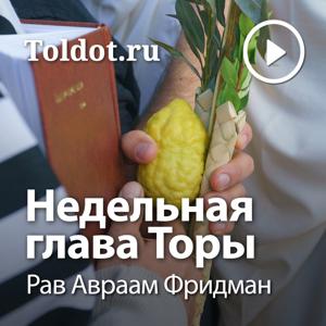 Рав Авраам Фридман  — Недельная глава Торы by toldot.com