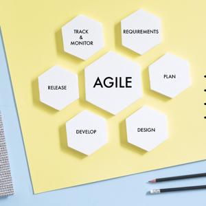 Buzzword Busters: Agile Unscrum-bled Edition