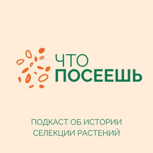 ЧТО ПОСЕЕШЬ