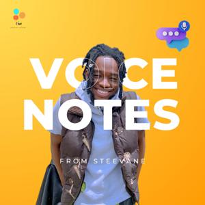 Voice Notes from Steevane